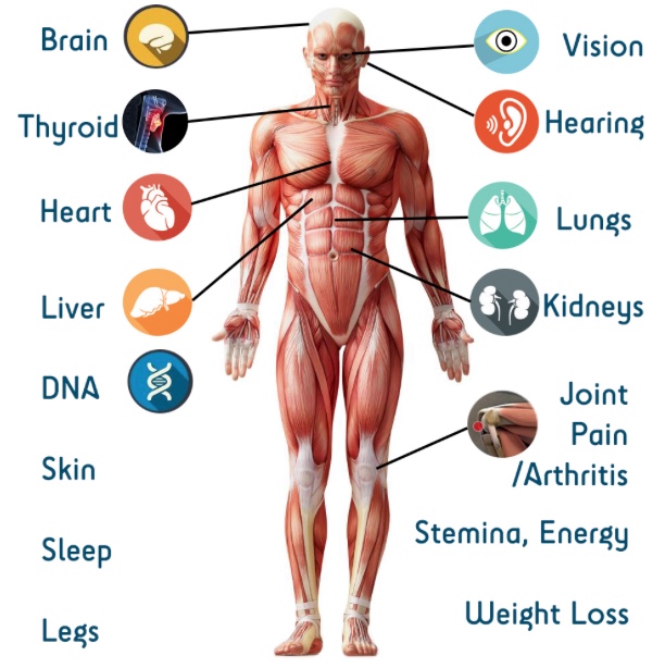 ECP benifits to other parts of body