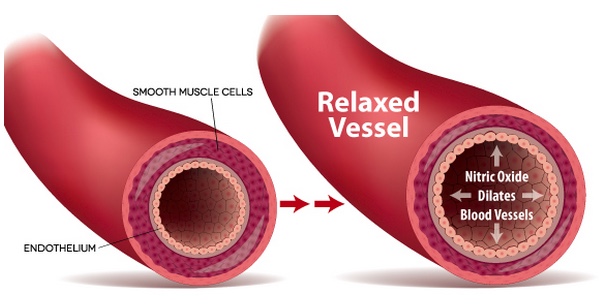 Nitric oxide results
