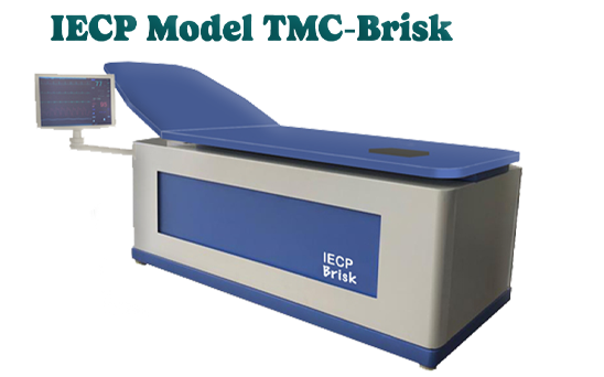 IECP TMC-Brisk